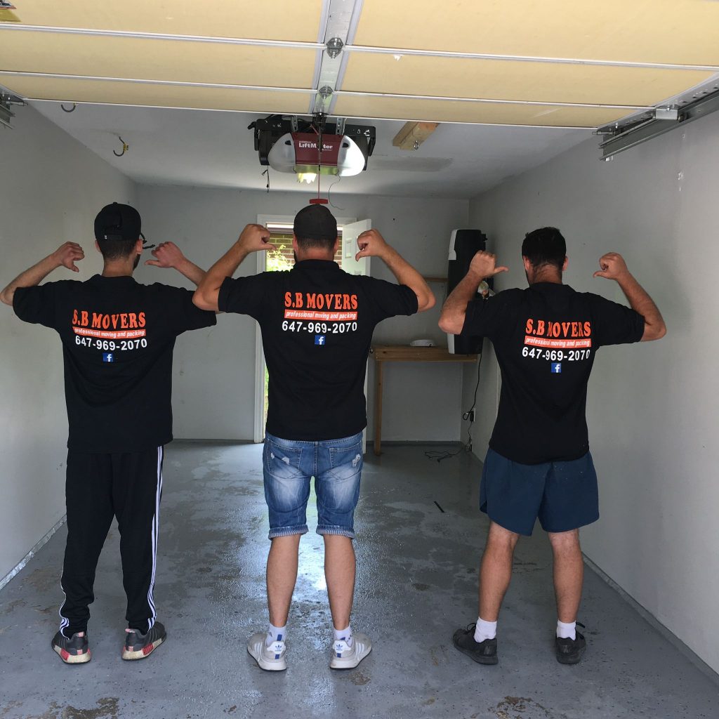 S.b movers team