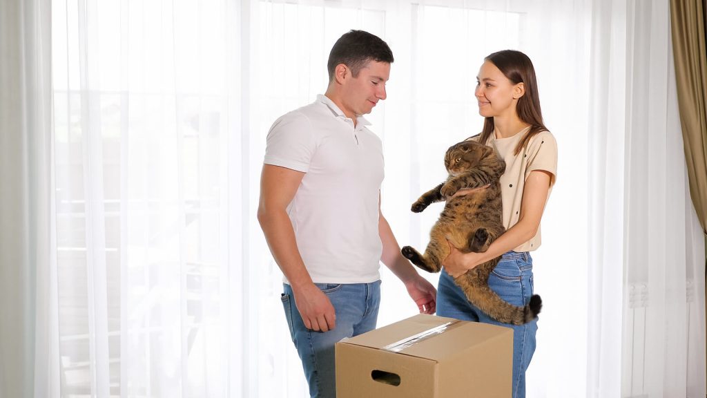 Local Moving Company