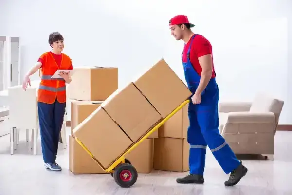 Local Movers Vaughan Sb Movers